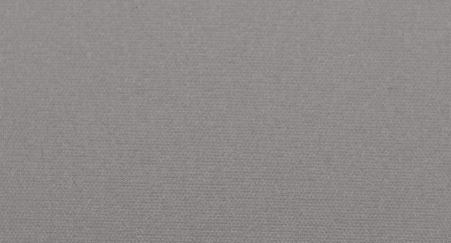 Canopy sea gull gray